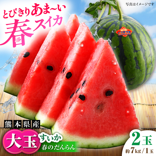 [先行予約][2027年4月中旬より順次発送]大玉すいか 2玉入(1玉 約7kg) スイカ[AYAB057]