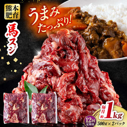 【全12回定期便】 馬スジ 計12kg 1回あたり1kg（500g×2パック） / 馬肉 スジ 筋 煮込み 冷凍[AYBV015]