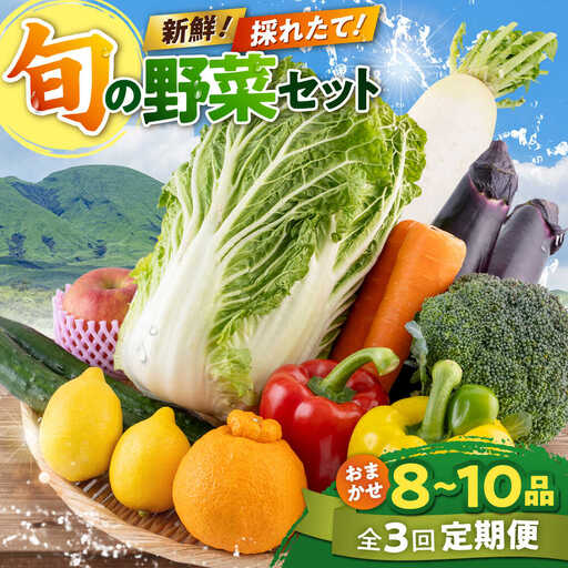 [全3回定期便]旬な野菜おまかせ詰め合わせセット 野菜 [AYCA003]