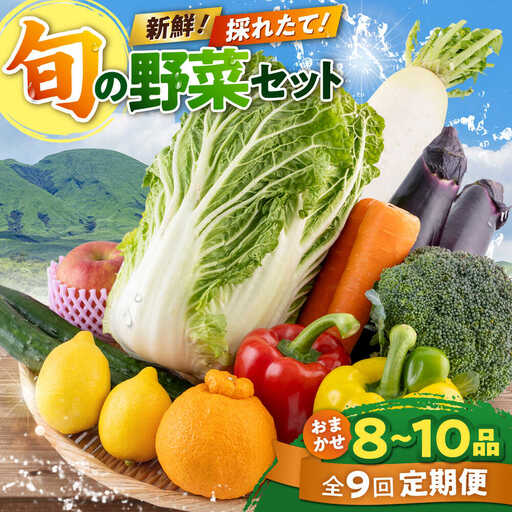 【全9回定期便】旬な野菜おまかせ詰め合わせセット 野菜 [AYCA005]