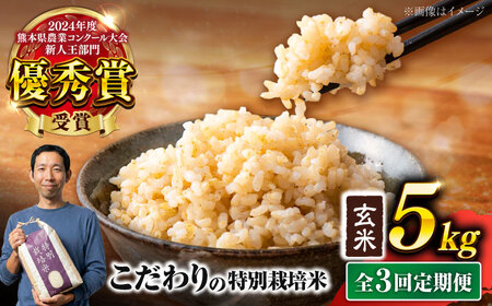 【令和7年度】 【全3回定期便】 くまさんの輝き 玄米 5kg 計15kg 玄米[AYCC023]
