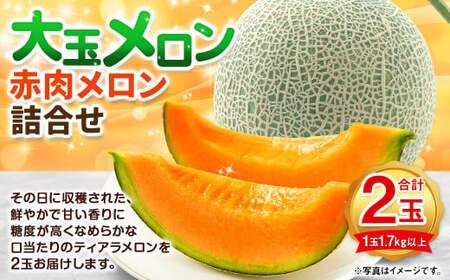 大玉 赤肉 メロン 2玉 詰め合わせ （1玉 1.7kg以上）果物 フルーツ めろん 赤肉メロン 北海道 浦臼町 【2027年7月下旬~8月上旬迄発送予定】