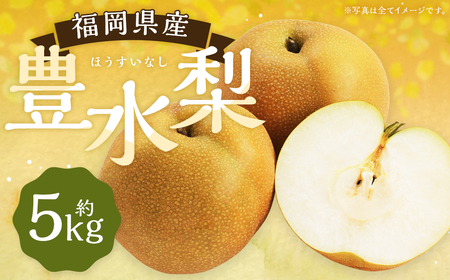  豊水梨 約5kg 9～12玉【2026年8月下旬～9月下旬発送】 ナシ 梨 果物 フルーツ 福岡県産