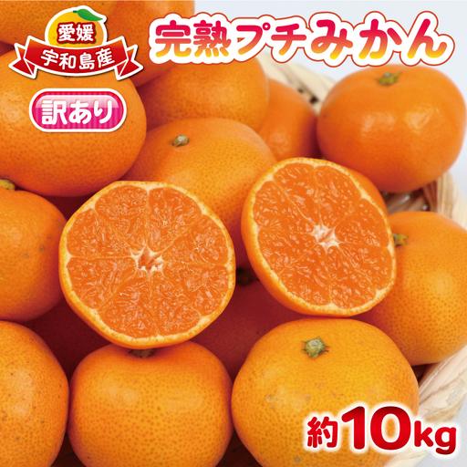 訳あり 完熟 プチ みかん 早生みかん 10kg 杉本屋
