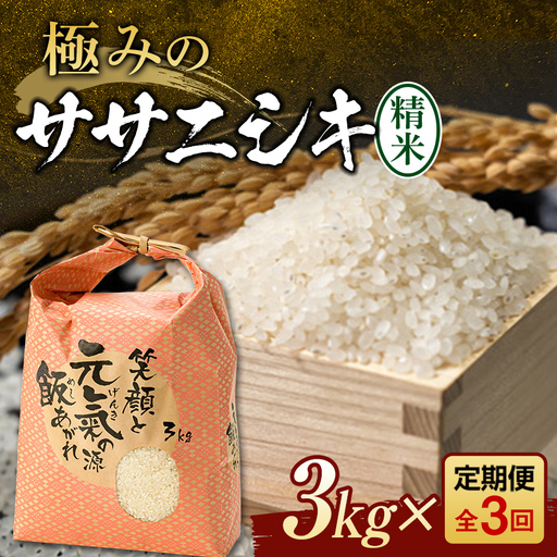 [令和8年産] 定期便 全3回 極みのササニシキ(精米)3kg 米 お米 おこめ ふるさと納税 山形県 新庄市