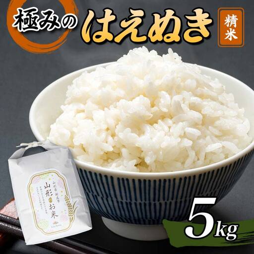 【令和8年産米先行予約】極みのはえぬき 精米 5kg 米 お米 おこめ 山形県 新庄市 F3S-2864
