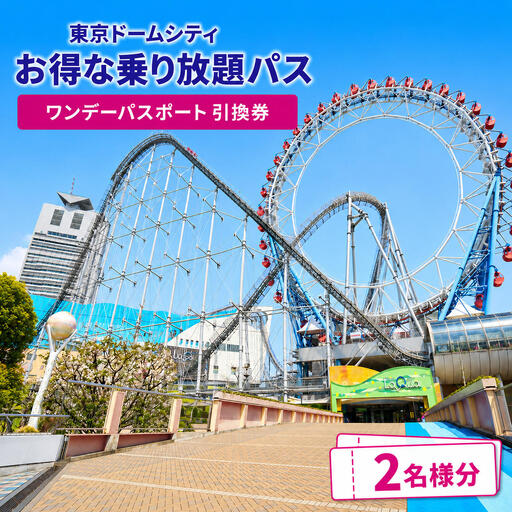 チケット 東京ドームシティ ペア チケット