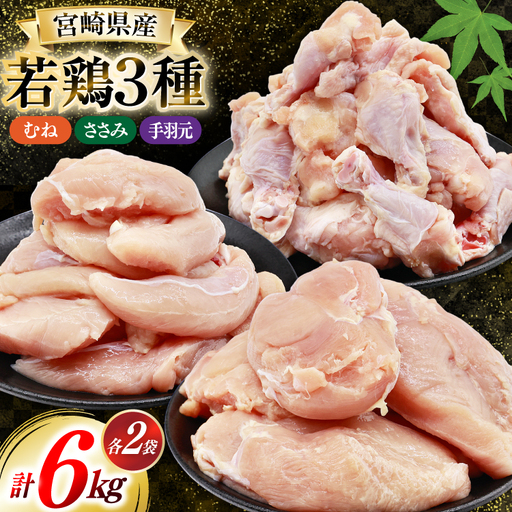 鶏肉 詰め合わせ 宮崎県産 むね肉 ささみ 手羽元 セット 各 1kg 2p 計 6kg