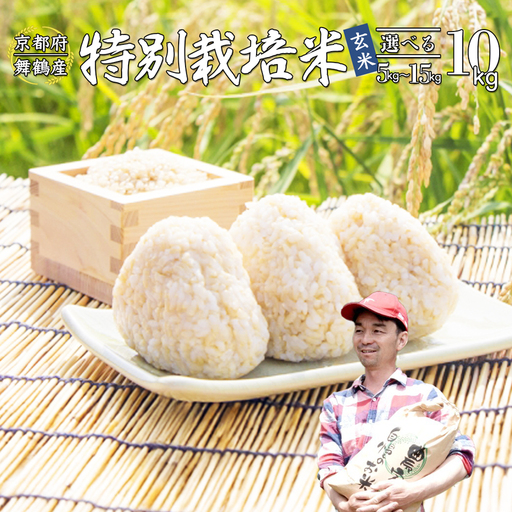 令和8年度産 新米 予約受付 棚田米 10kg 玄米 コシヒカリ 特別栽培米 7割削減