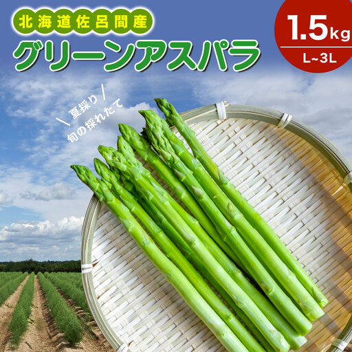 【夏採り】 グリーンアスパラ 1.5kg（L～3L）旬の採れたて 北海道 佐呂間産 （2027年7月出荷開始先行予約） SRMM005