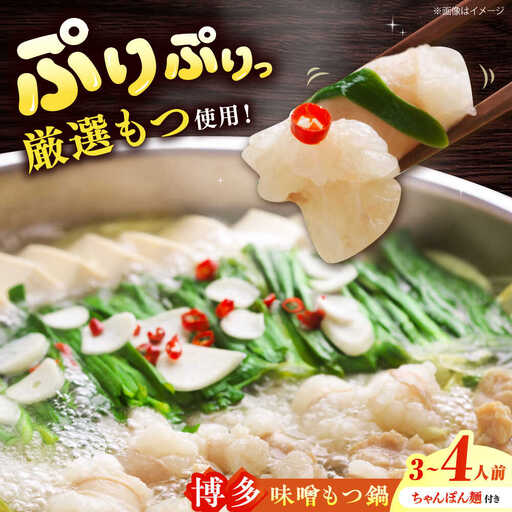 博多もつ鍋味噌 もつ鍋 3~4人前セット[BGAB004]