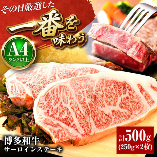 博多和牛 サーロイン ステーキ 250g×2枚 [BGAB012]さーろいん ステーキ