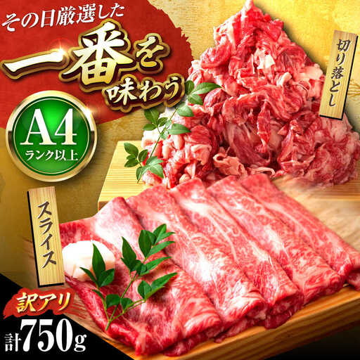 【訳あり】博多和牛 スライス&切り落とし750g [BGAB020]訳あり 牛肉
