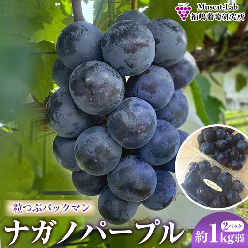 【先行予約】2026　ナガノパープル　粒つぶパックマン2パック　約1kg弱　長野県産  【10月初旬頃～順次発送予定】国際特許有機肥料栽培