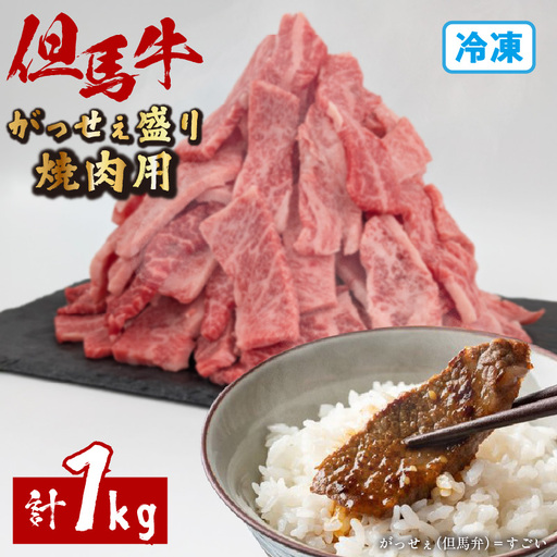但馬牛 がっせぇ盛り 焼肉用計1kg（250g×4）国産 牛肉 和牛 72-24