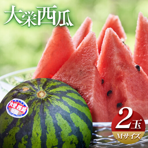 【2027年産先行予約】大栄西瓜  M ２玉 ※2027年6月中旬～7月中旬頃に順次発送予定 スイカ