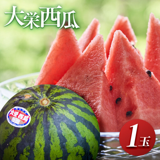 [先行予約]大栄西瓜 1玉(高間商店)※6月中旬〜7月中旬頃に順次発送予定 スイカ