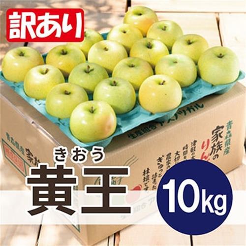 【9月発送予定】訳あり青森りんご  夏が旬! 黄王(きおう)約10kg 平均糖度12度以上_果物・フルーツ りんご  リンゴ 林檎_【配送不可地域：離島・沖縄県】【1607463】