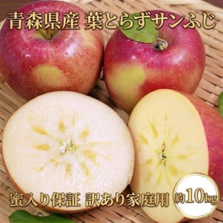 【26年11月～12月発送予定】平均糖度13度以上! 葉とらずサンふじ 約10kg 訳あり 蜜保証_果物・フルーツ りんご  リンゴ 林檎_【配送不可地域：離島・沖縄県】【1607470】