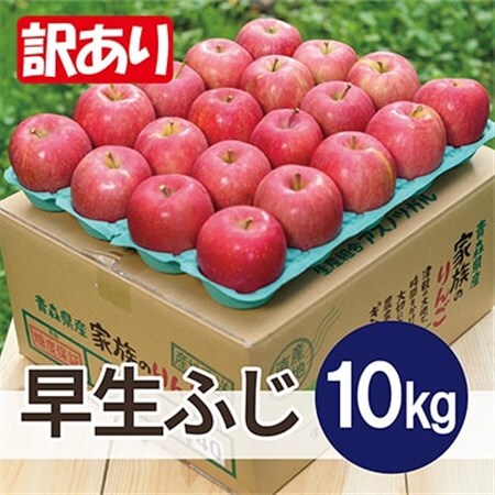 【2026年10月から順次発送予定】平均糖度12度以上! 早生ふじ 約10kg 訳あり_果物・フルーツ りんご  リンゴ 林檎_【配送不可地域：離島・沖縄県】【1607479】