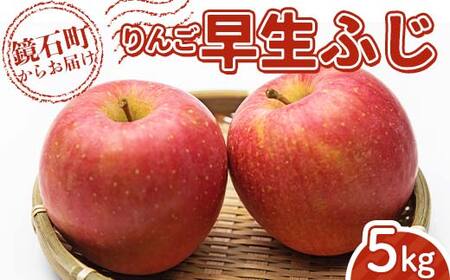＜先行予約＞福島県産 甘い りんご 早生ふじ 5kg （12玉～20玉） リンゴ フルーツ 果物 F6Q-287
