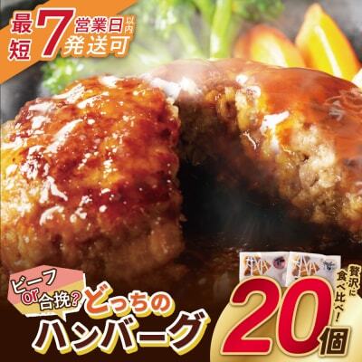 Z61-31R09 【7営業日以内発送】どっちのハンバーグ!?デミグラスソース20個セット（ビーフ・合挽 各10個） ハンバーグ