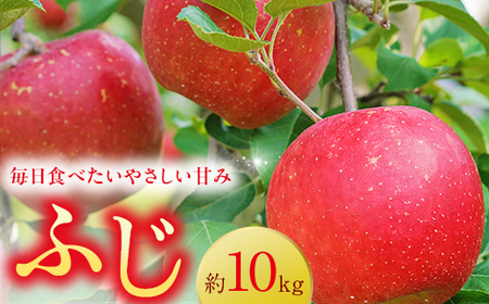 ＜先行予約＞福島県産 甘い りんご ふじ 10kg （24玉～40玉） リンゴ フルーツ 果物 F6Q-290