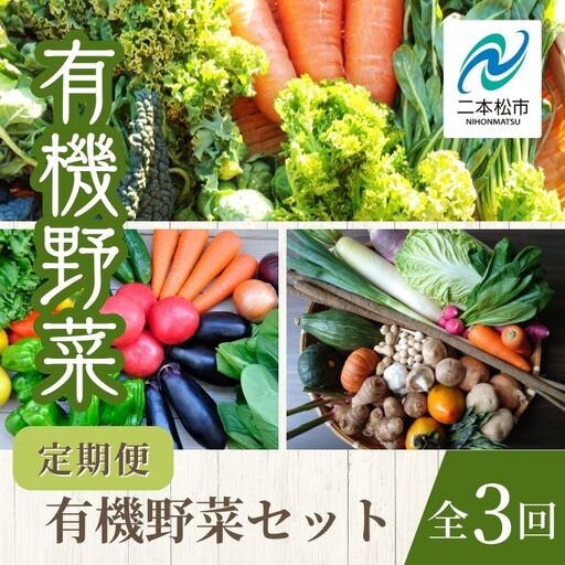 定期便 全3回 季節の有機野菜セット【一般社団法人二本松有機農業研究会】