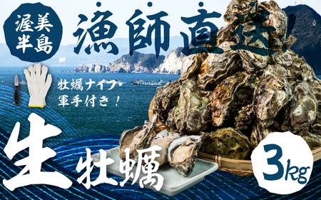 [先行予約]殻付き 生牡蠣 3kg 加熱用 軍手・牡蠣ナイフ付 牡蠣 カキ かき 生 殻付 フライ 鍋 バーベキュー BBQ 海鮮 魚介 魚貝 貝 魚介類 新鮮 渥美半島 田原市 愛知県 国産 海産物 オイスター 海の ミルク 軍手 ナイフ 冬 〜 春