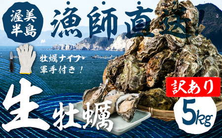[先行予約]訳あり 殻付き 生牡蠣 5kg 加熱用 軍手・牡蠣ナイフ付 牡蠣 カキ かき 生 殻付 フライ 鍋 バーベキュー BBQ 海鮮 魚介 魚貝 貝 魚介類 新鮮 渥美半島 田原市 愛知県 国産 海産物 オイスター 海の ミルク 軍手 ナイフ 冬 〜 春