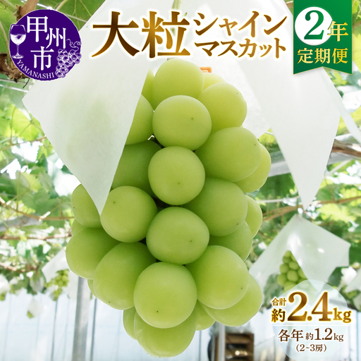 【定期便】甲州市産厳選大粒シャインマスカット約1.2kg 2年定期便【2025年・2026年発送】（MG）C2-495 【シャインマスカット 令和7年発送 令和8年発送 期間限定 フルーツ 果物 山梨県産 甲州市】 