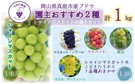 [2026年先行予約]岡山 花笑み農園 『園主おすすめぶどう2種セット』〜シャインの親子セット〜 [hana065-02]
