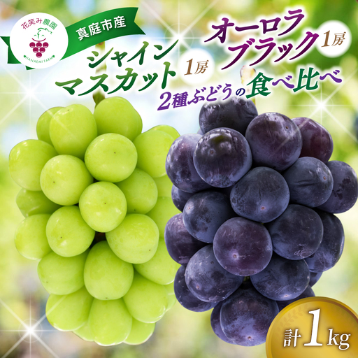 ぶどう 岡山県産シャインマスカット&オーロラブラックぶどう1kg(2房) [hana067-02]