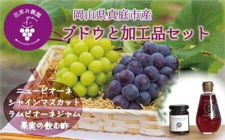 [2026年先行予約]花笑み農園 岡山の『ピオーネ&シャインマスカット&ラムピオーネジャム&飲む酢』 [hana070-02]
