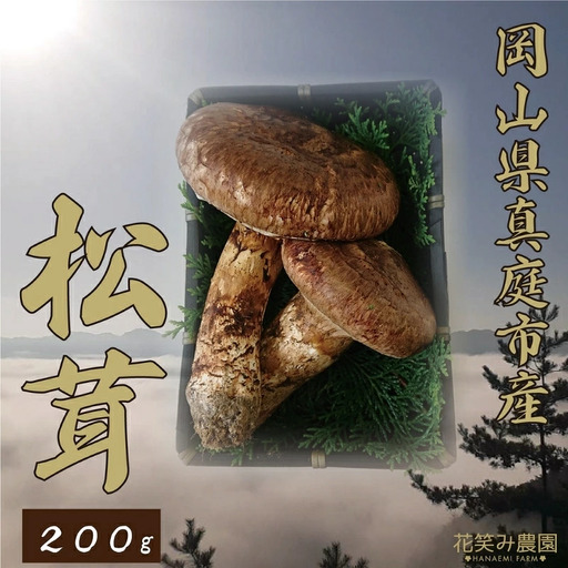 きのこ 松茸 岡山県産きのこ 松茸200g [hana011-02]