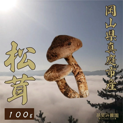 【2026年先行予約】花笑み農園　岡山の『松茸』100g 【hana077-02】
