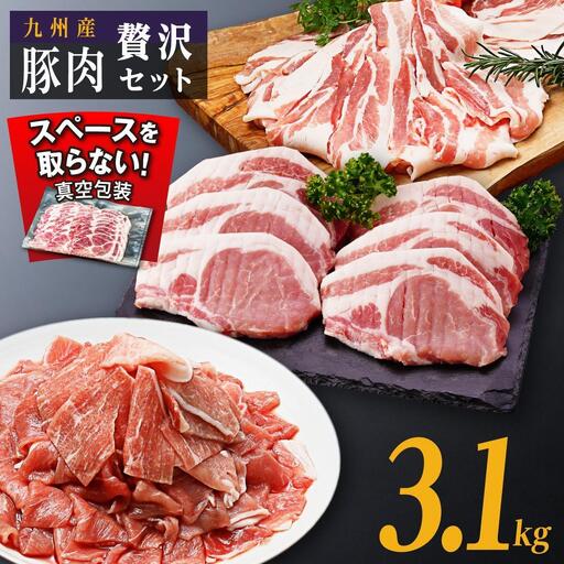 九州産豚肉3.1kg　3種セット　（豚バラスライス400g×3P　豚ロースとんかつ350g（3枚）×2P　豚モモウデ切り落とし300g×4P）