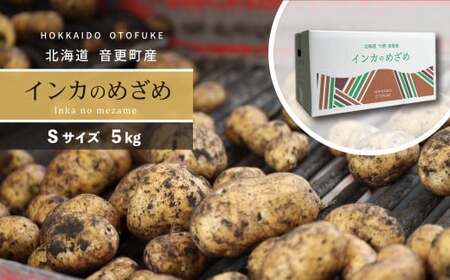 [先行受付]おとふけ産じゃがいも「インカのめざめ」5kg(Sサイズ)[B126]2026年11月下旬頃より順次発送