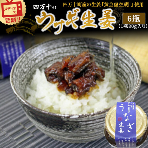 四万十うなぎ生姜6瓶セット うなぎ 鰻 しょうが 瓶詰 ／Ess-15