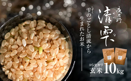 ＜令和7年産＞ 京都夜久野産 清雫(せいな) コシヒカリ 玄米 (10kg) ふるさと納税 福知山市 令和7年度産 先行 定期便 選べる 容量 回数 玄米 夜久野 京都 【fc-DB005-C】【合同会社夜久野清雫】