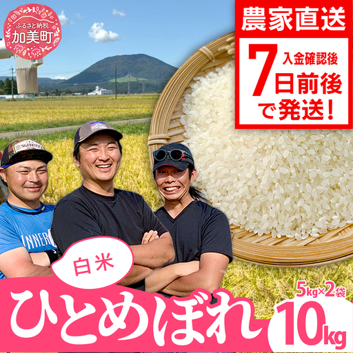 令和8年産 ひとめぼれ 10kg ひとめぼれ