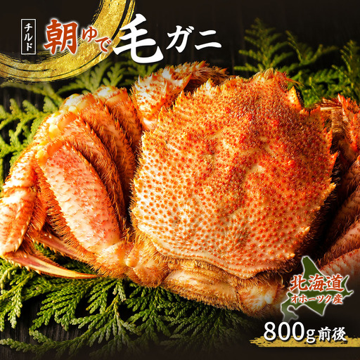 北海道オホーツク海産 朝ゆで毛ガニ 800g前後（冷蔵）【07148】