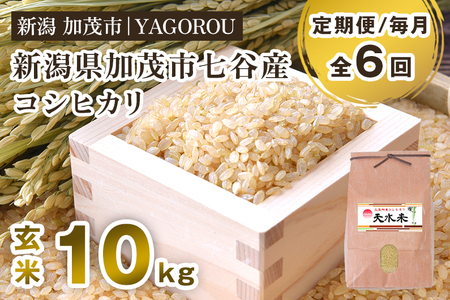 【令和8年産新米先行予約】【定期便6ヶ月毎月お届け】七谷産コシヒカリ 玄米10kg 《10月上旬～順次出荷》