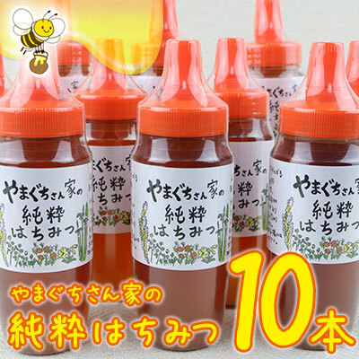 やまぐちさん家の純粋はちみつ〈250g×10本セット〉