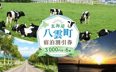 北海道八雲町　宿泊割引券3,000円分×6枚 | ホテル ホテルチケット 観光 宿泊