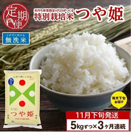 SD0345　11月下旬発送開始／【3回定期便】令和8年産［無洗米］特別栽培米 つや姫　5kg×3回(計15㎏)「農家直送」 KA