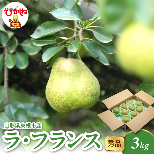 【2026年産】 ラ・フランス 3kg（6-13玉）秀品 洋なし