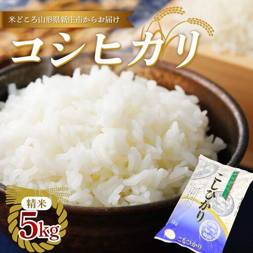 【令和7年産】 新庄産米 コシヒカリ 精米 5kg お米 コメ F3S-2926