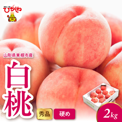 2026年産 白桃 (硬め) 2kg 秀品 桃 白桃 もも