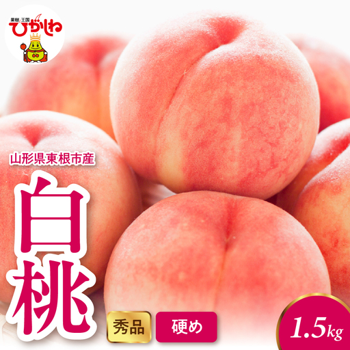 2026年産 白桃 (硬め) 1.5kg 秀品 桃 白桃 もも